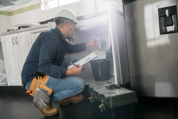 Best Drain Cleaning Services  in Sheridan, IL