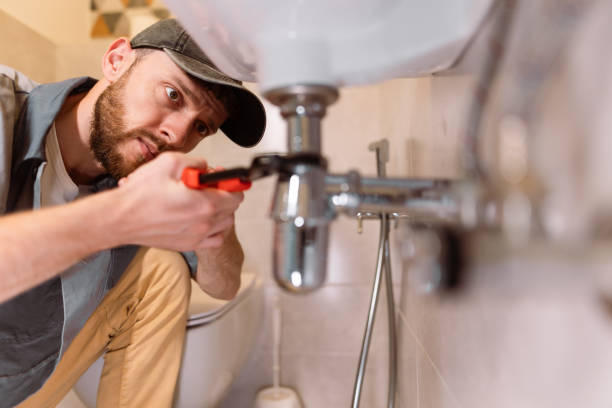 Best Commercial Plumbing Services  in Sheridan, IL